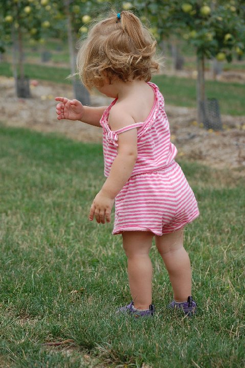 SUMMER (1163)